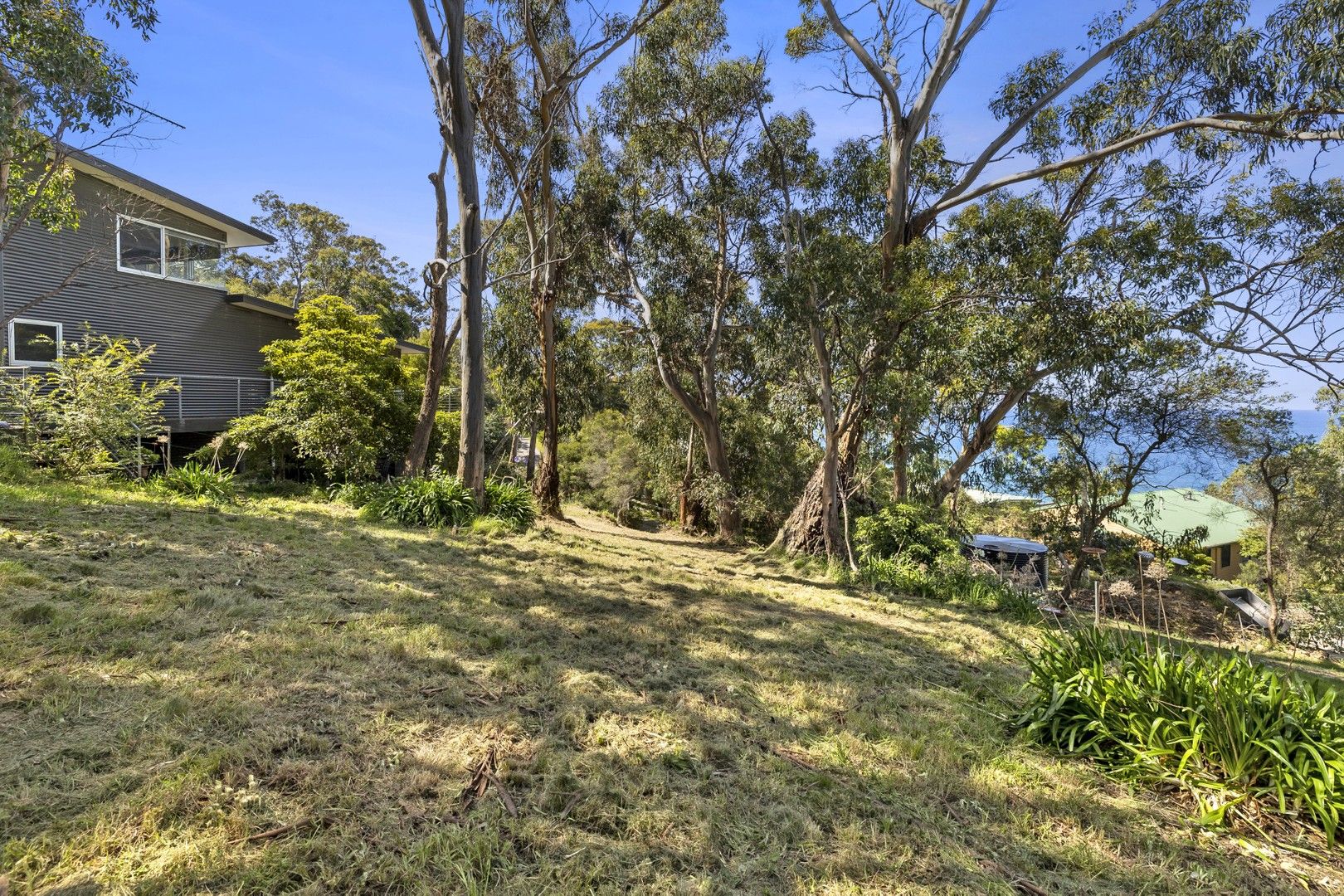 10 Cara Court, Kennett River VIC 3234, Image 0