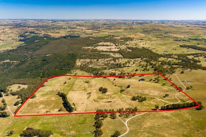 Picture of 113 Kellys Road, FITZGERALDS MOUNT NSW 2799