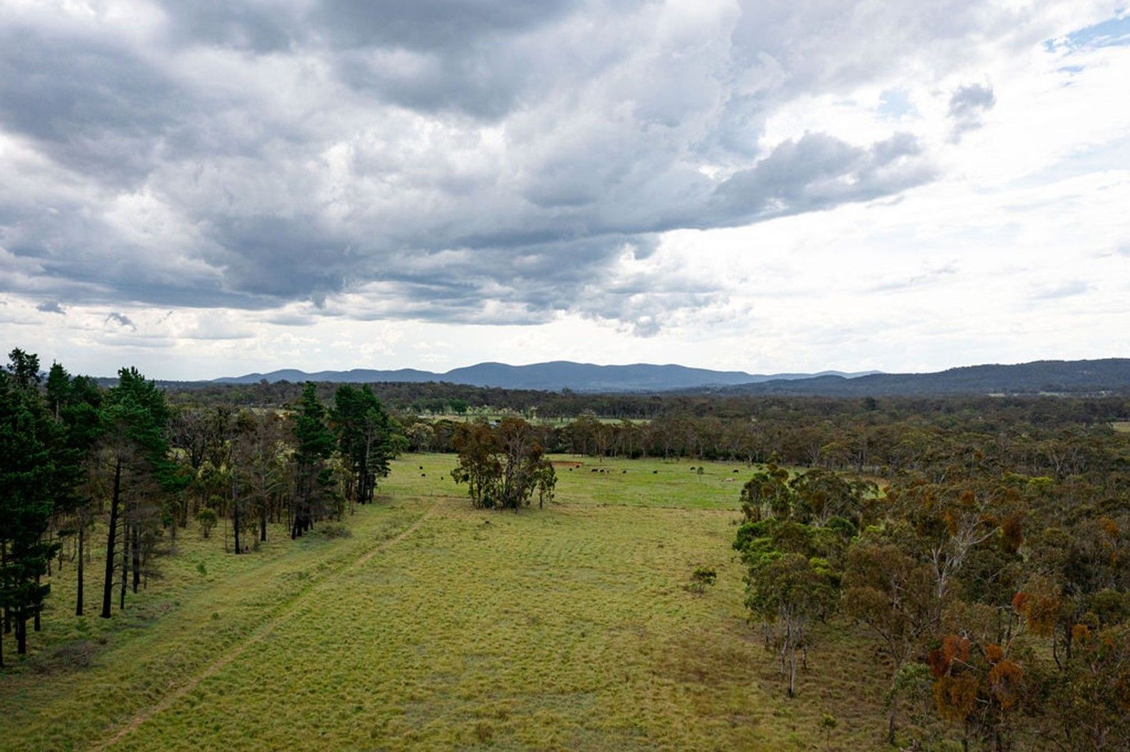 Vacant land in Proposed Lot 762 Robinsons Lane, TENTERFIELD NSW, 2372