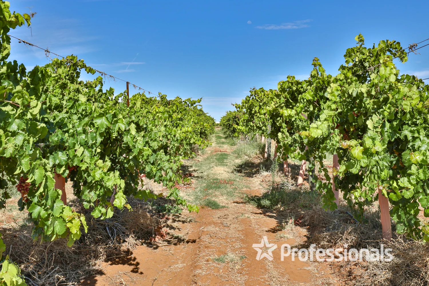 Additional image 22 of 248 Sunnycliffs Crescent, Red Cliffs VIC 3496