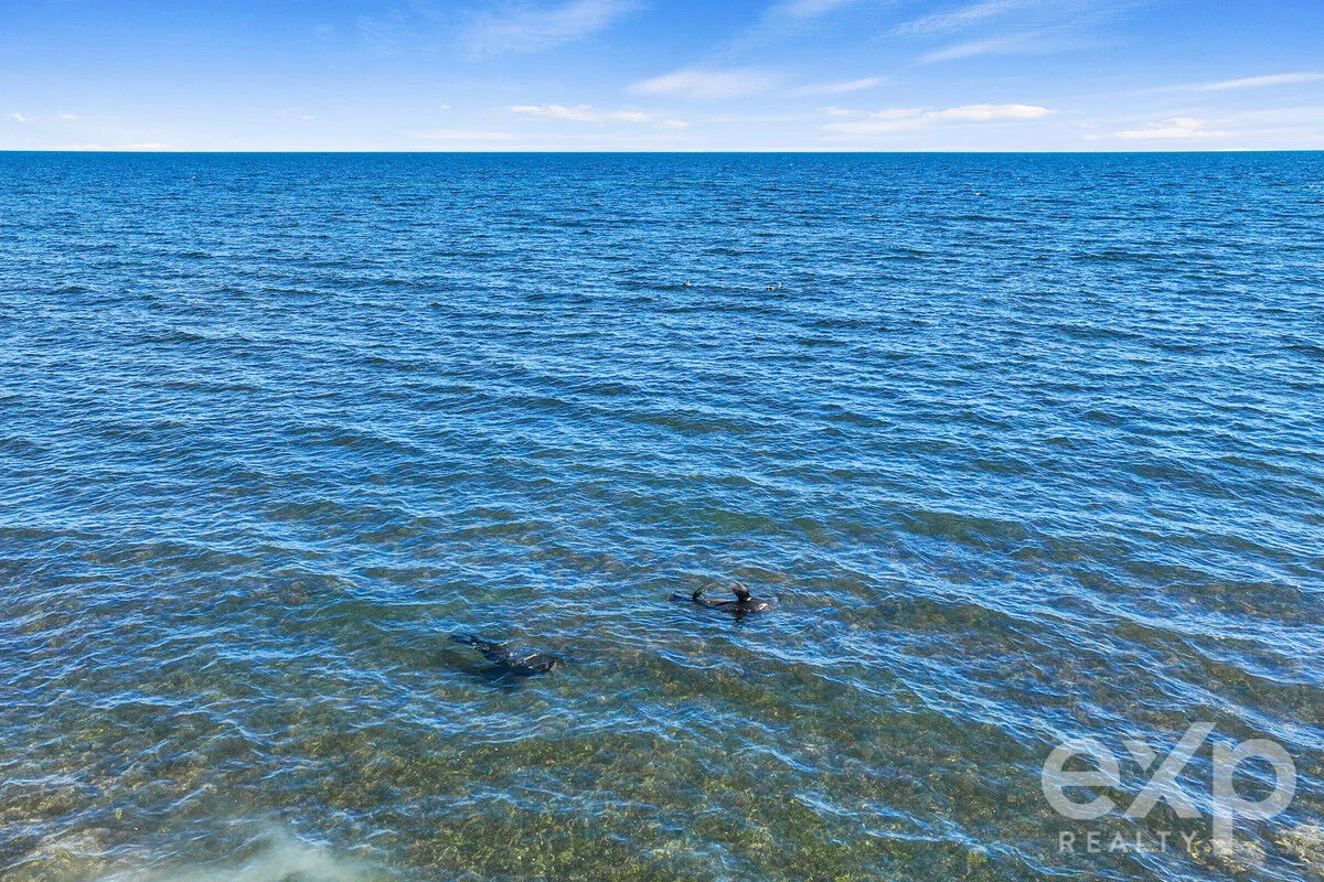 Additional image 21 of 959 Myponie Point Drive, Tickera SA 5555