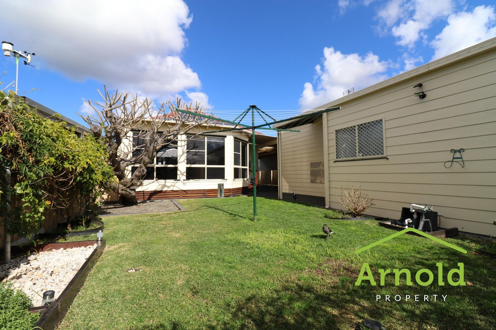 17 David Street, Georgetown NSW 2298, Image 0