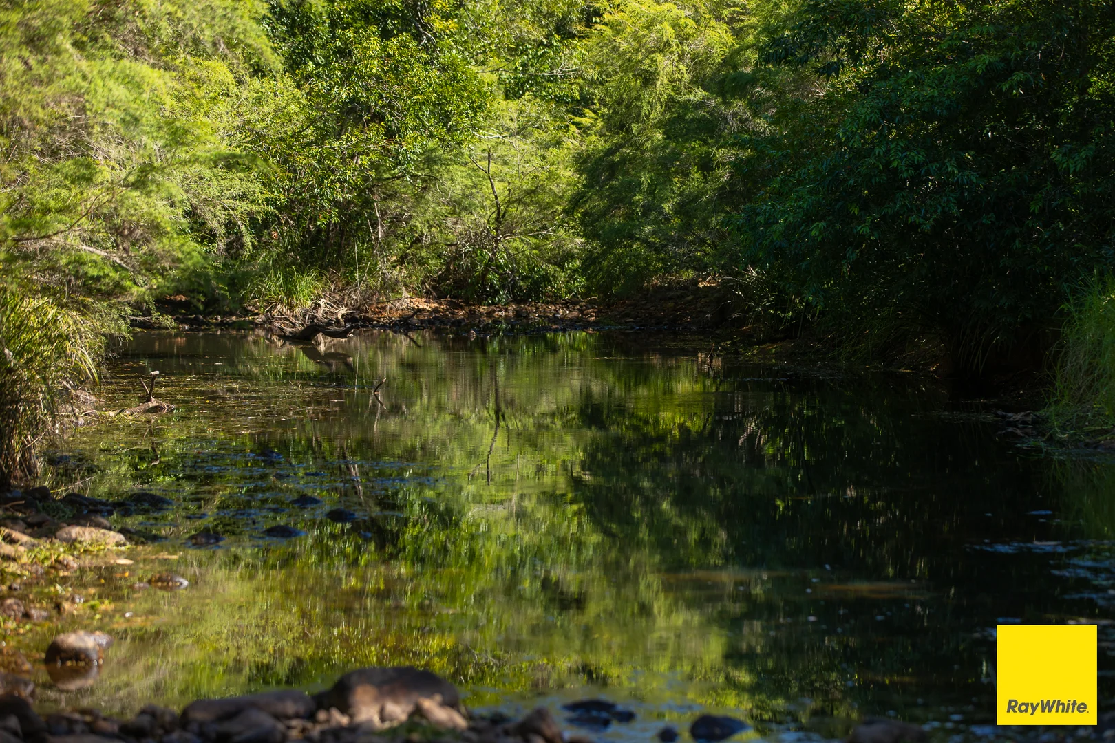 Additional image 10 of 131 Crawford River Road, Crawford River NSW 2423