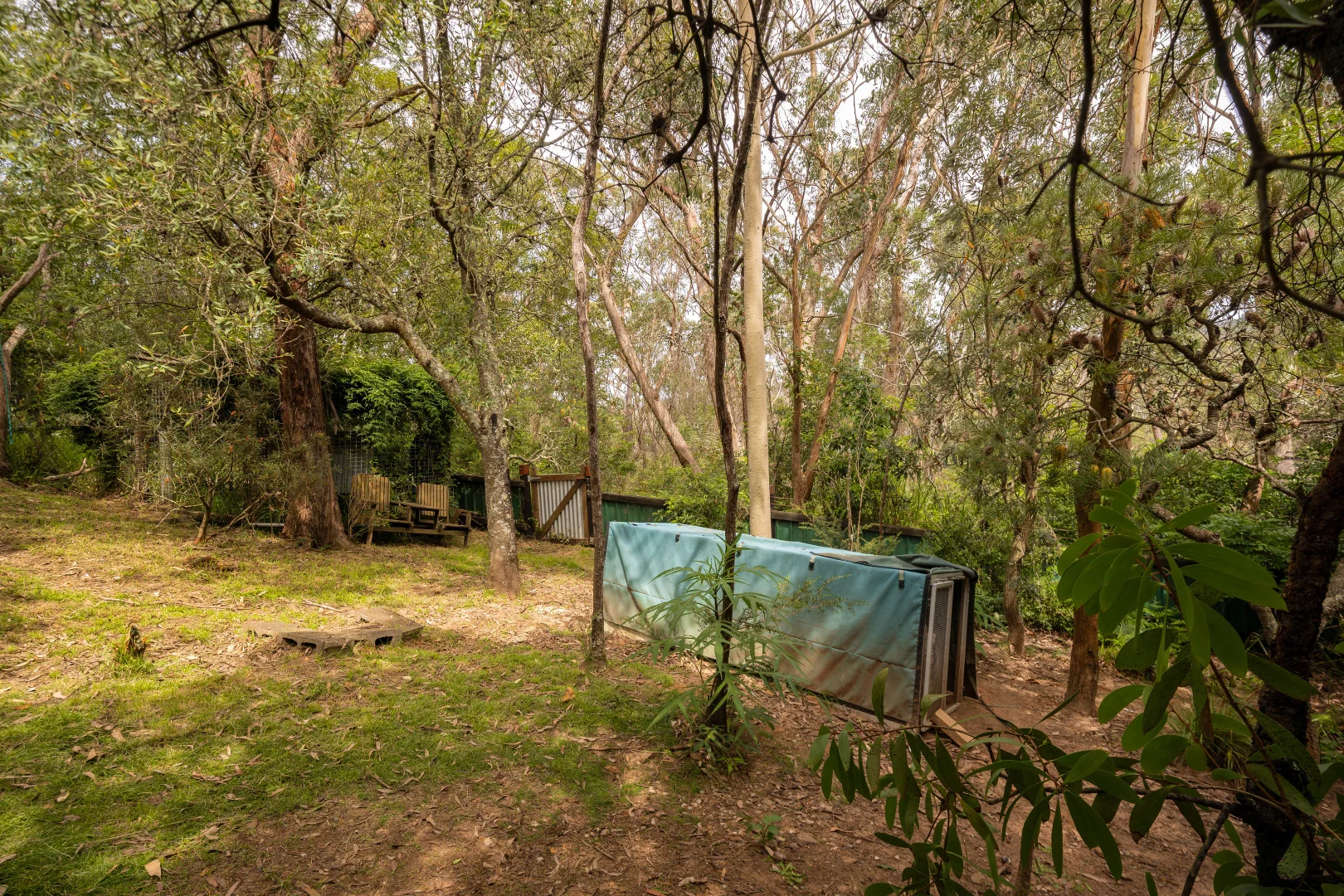 Image 13