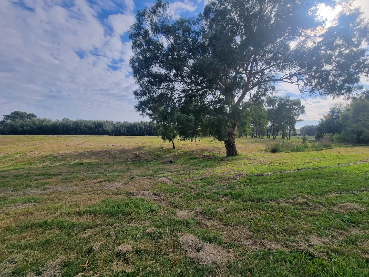 Additional image 10 of Lot Lot/316 Riverside Drive, Jugiong NSW 2726