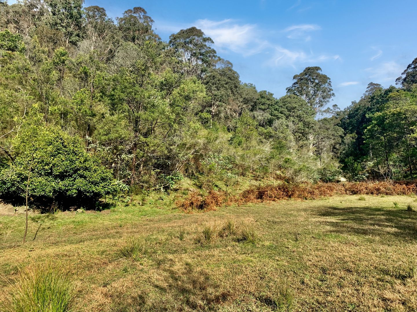 Lot 1 Hitcham Park Murrays Run Road, Laguna NSW 2325, Image 2