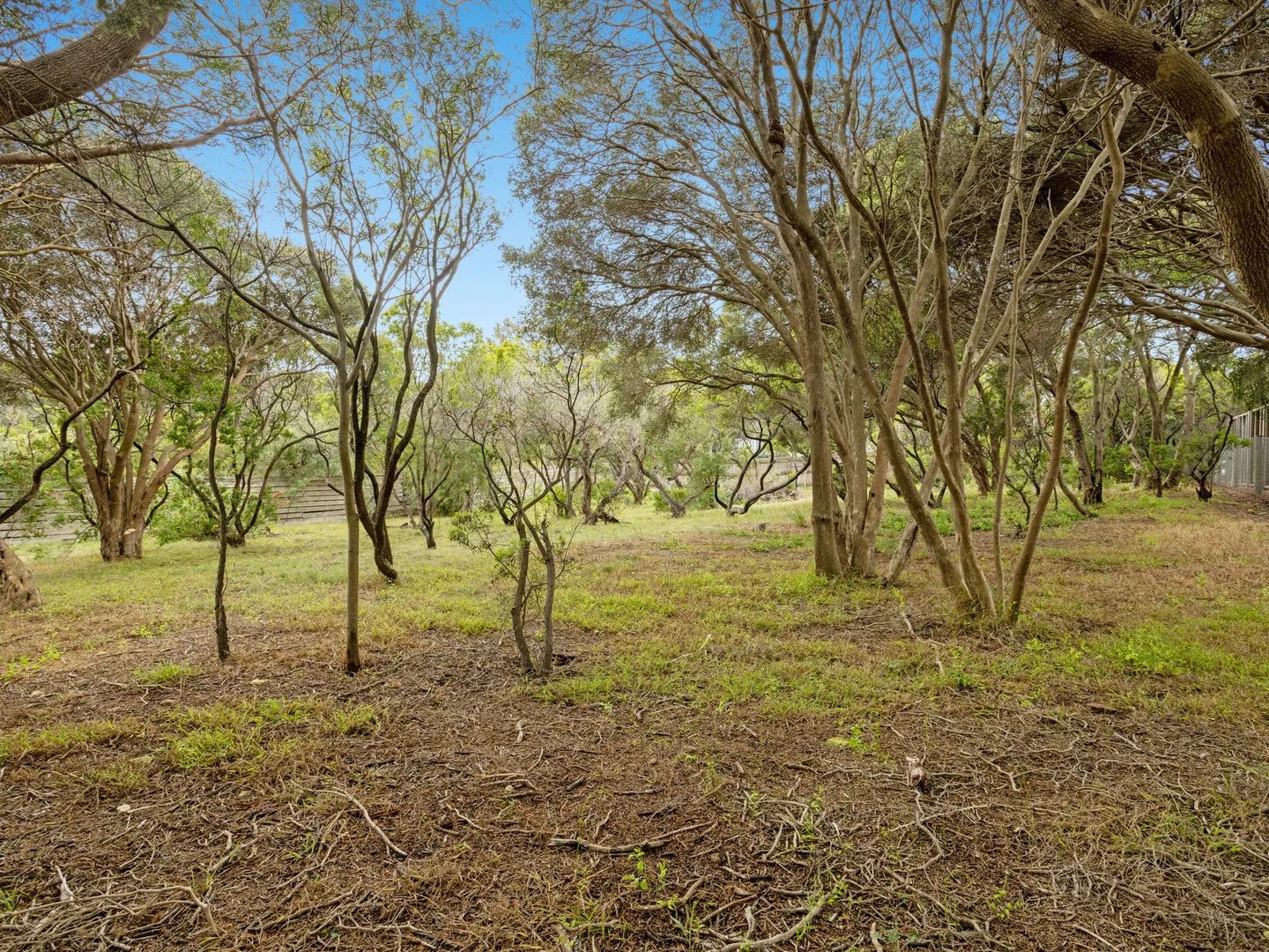 Additional image 10 of 3 Lillian Street, Rye VIC 3941