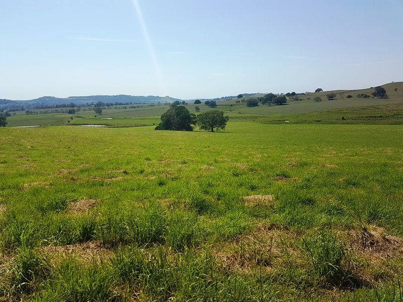 235 and 300 Clovass Road, Clovass NSW 2480 House for Sale 3,000,000