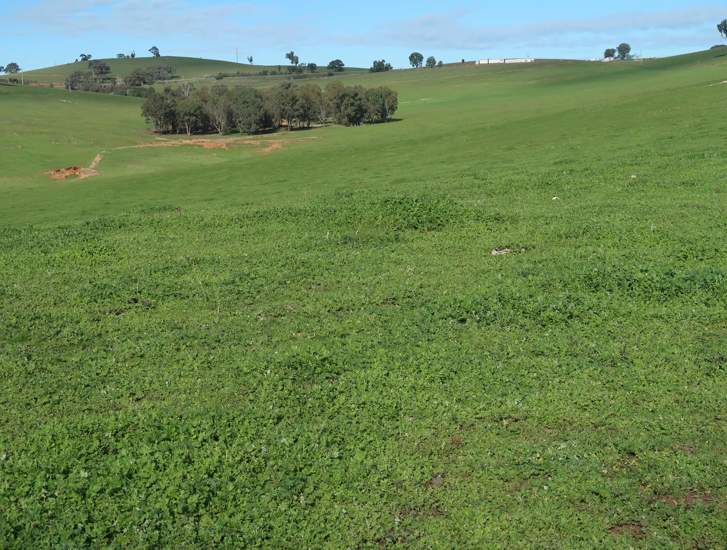 Image 10