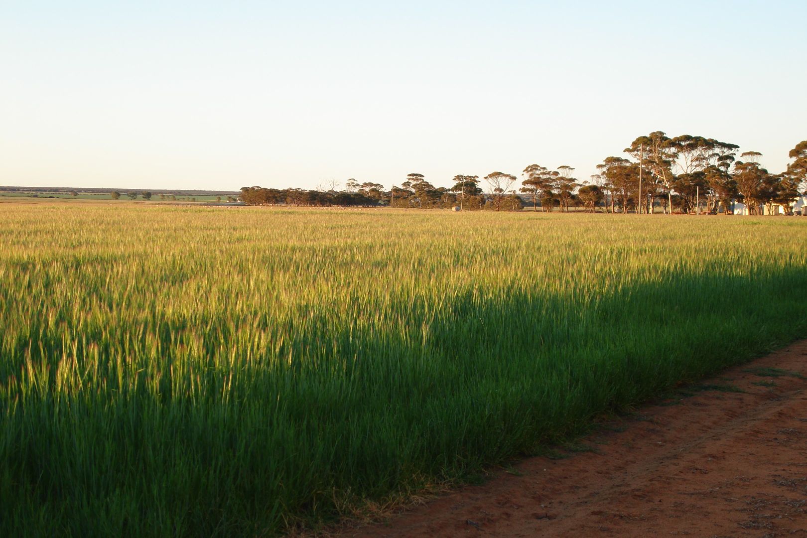 4919 Soldiers Road, Narembeen WA 6369, Image 1