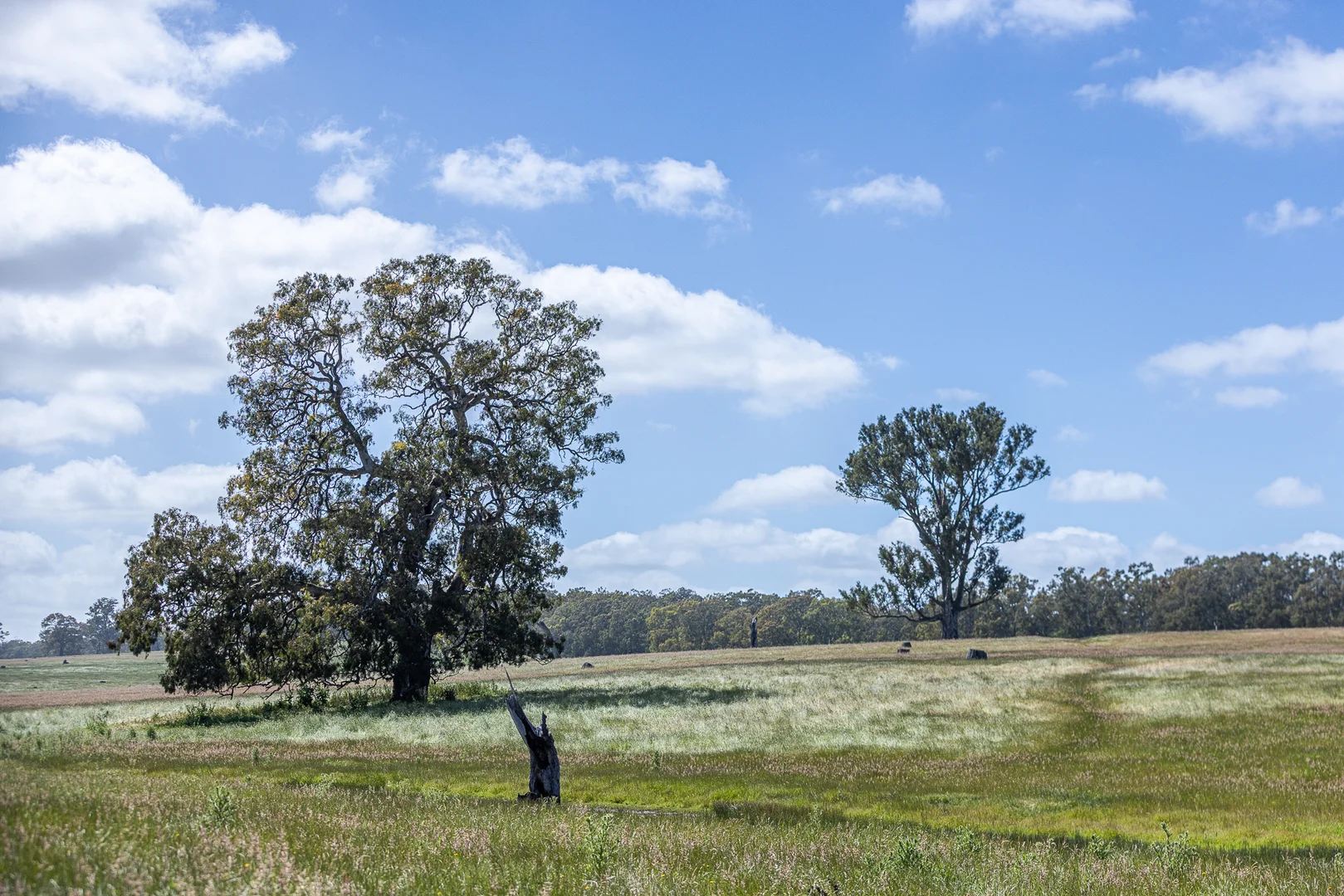 Additional image 6 of Lots 1 & 2 Six Chain Road, Sandford VIC 3312