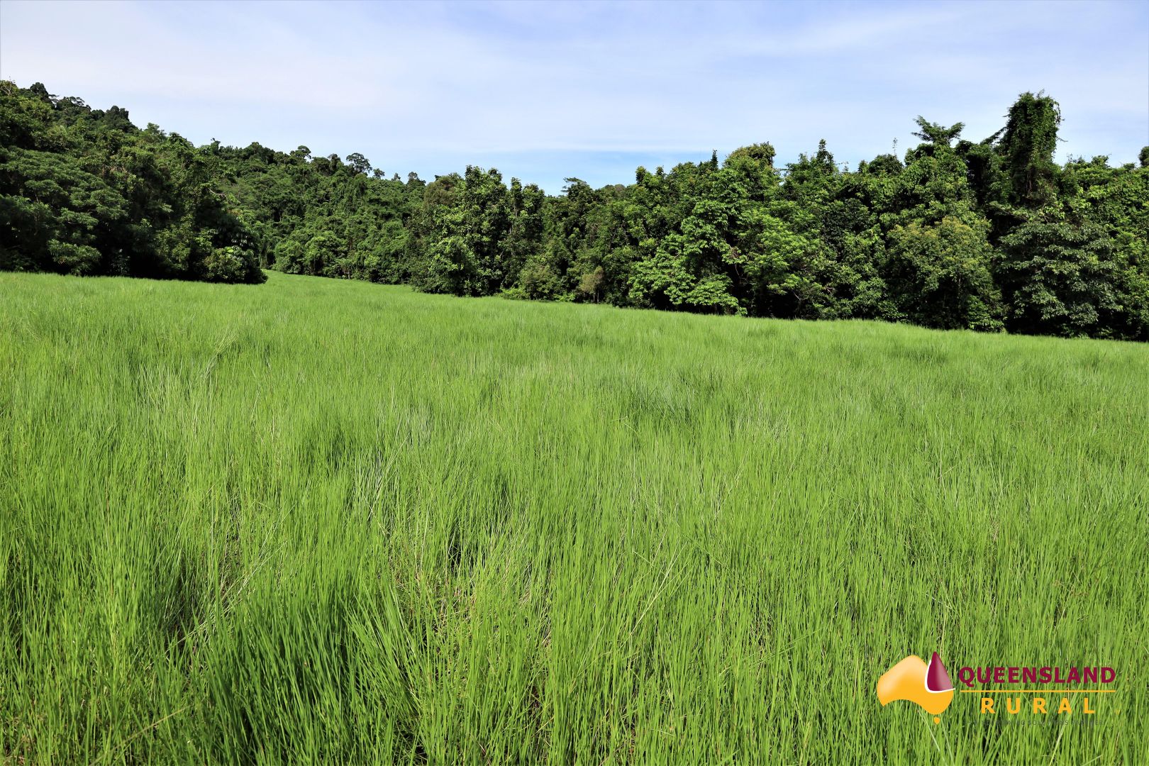 1353 Bramston Beach Road, Bramston Beach QLD 4871 House for Sale