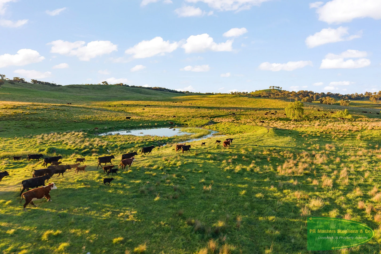 Additional image 24 of 351 Shepherds Creek Road, Euchareena NSW 2866