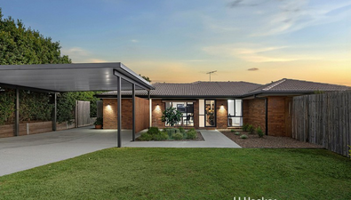 Picture of 28 Yewleaf Place, CALAMVALE QLD 4116