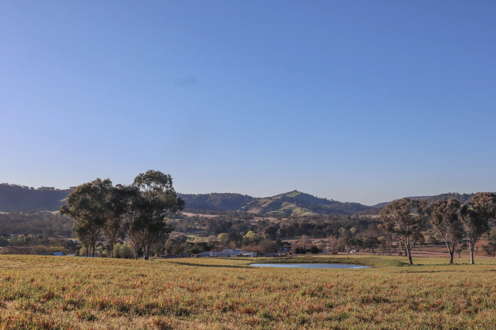 Image 14