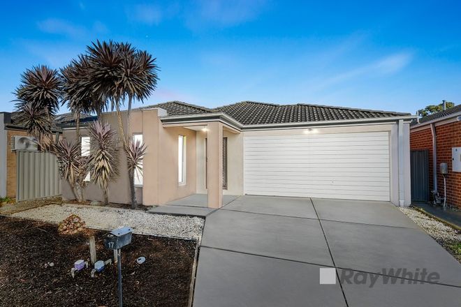 Picture of 17 Arrow Road, CRANBOURNE EAST VIC 3977