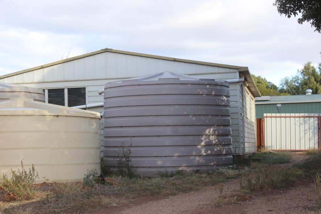 4 Yarrow Street, Dunedoo NSW 2844, Image 2