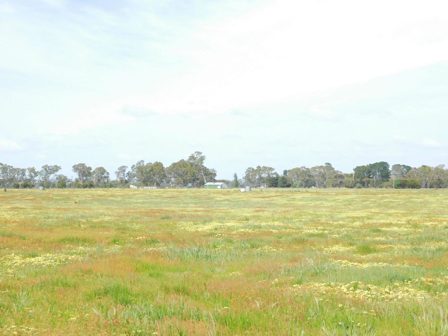 Lot 5 Casterton Road, Penola, Penola SA 5277, Image 2