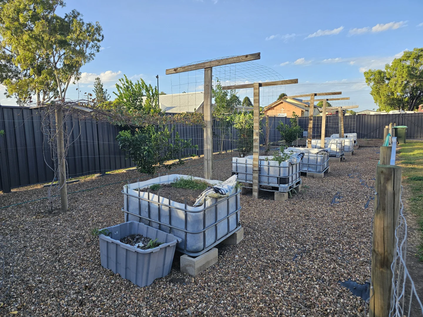 Image 20