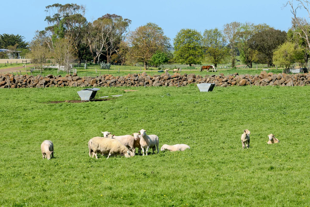 Additional image 28 of 170 Allans Road, Framlingham VIC 3265