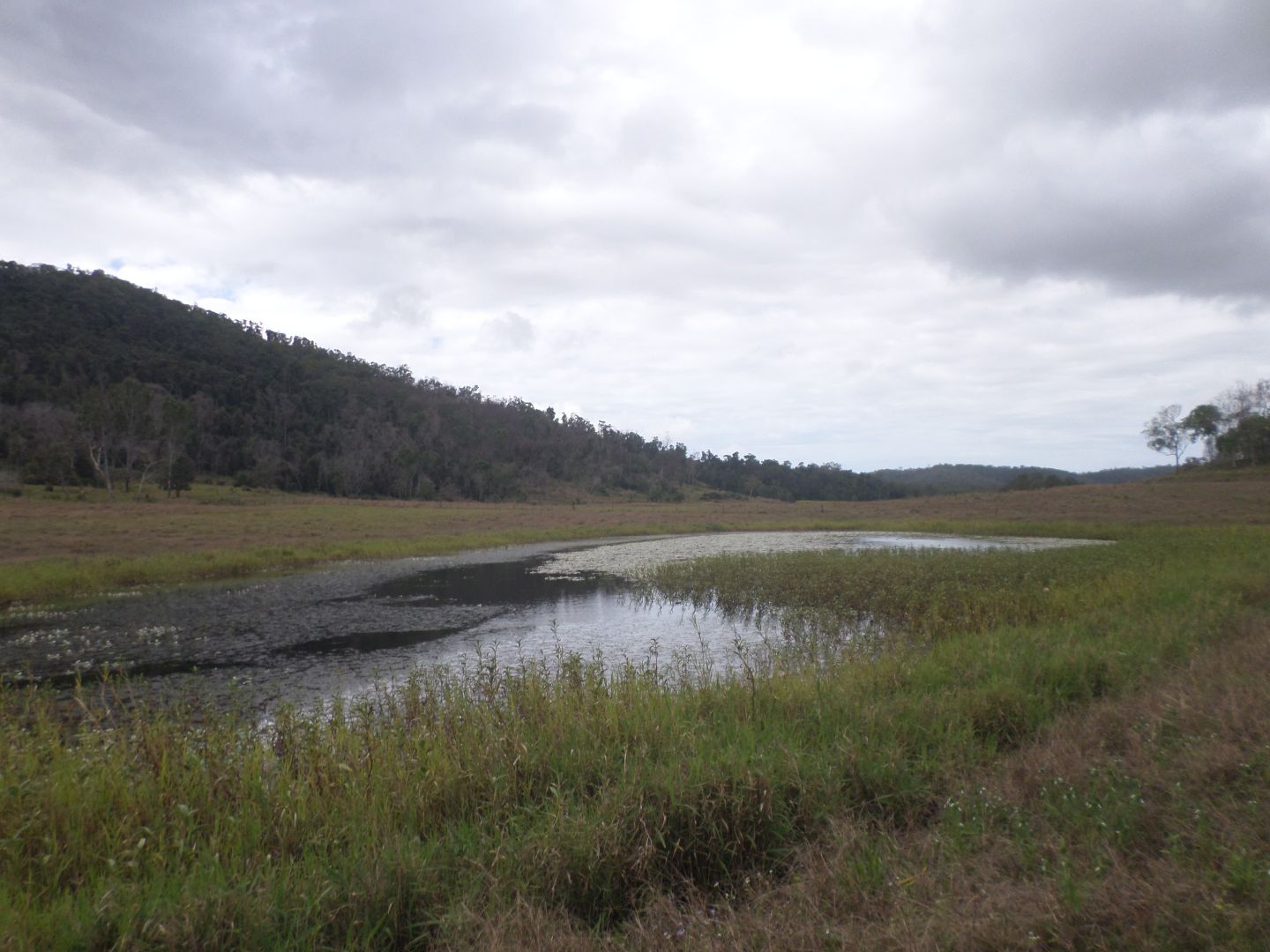 Yalboroo QLD 4741, Image 2