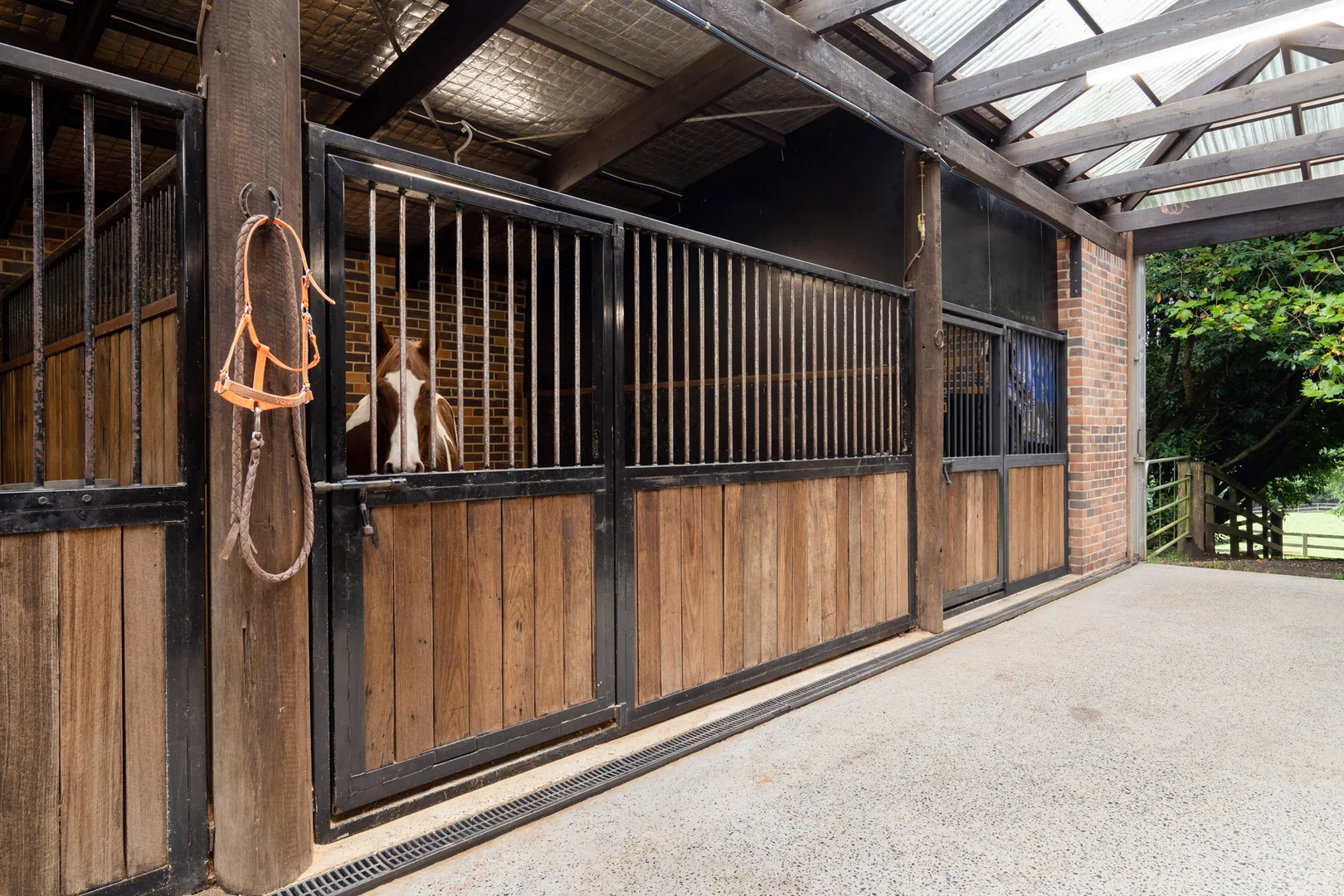 Additional image 17 of 101 Pearsons Lane, Robertson NSW 2577