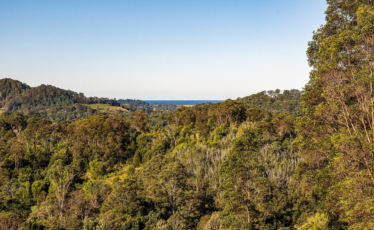 56 Binalong Court, Burringbar NSW 2483 Domain