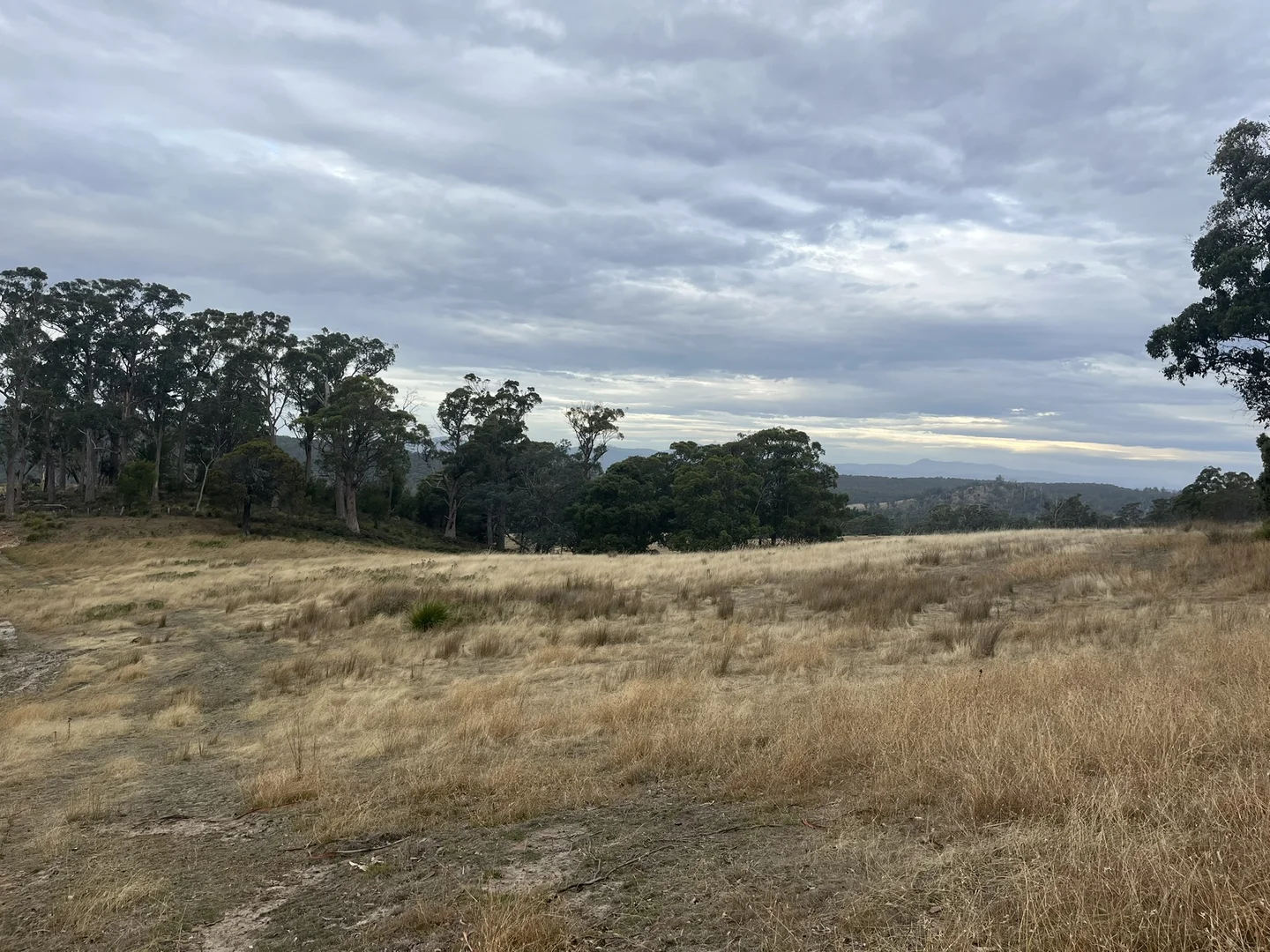 Image 15