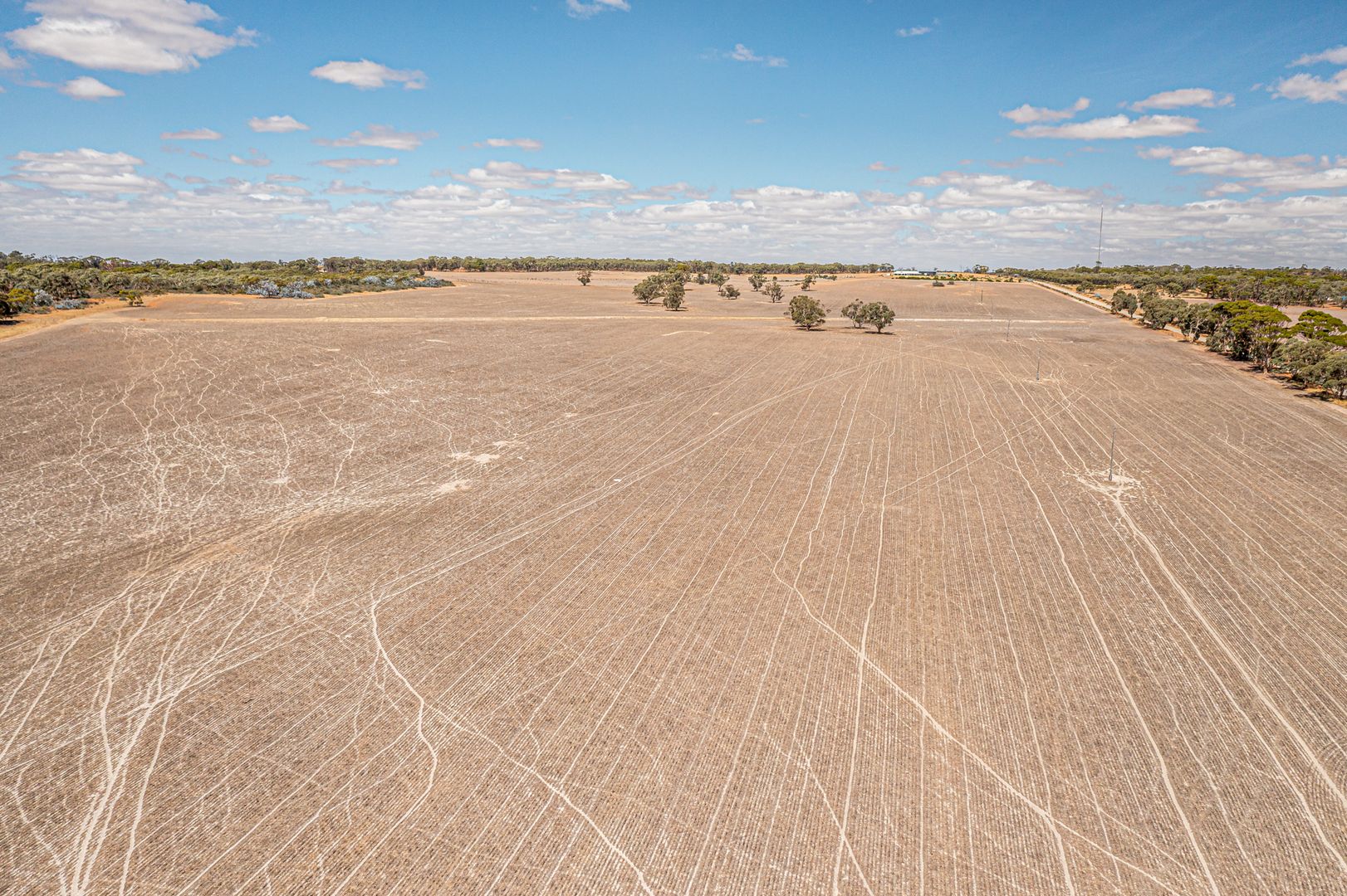 Lot 802 Doodenanning Mawson Road, Dulbelling WA 6383, Image 2