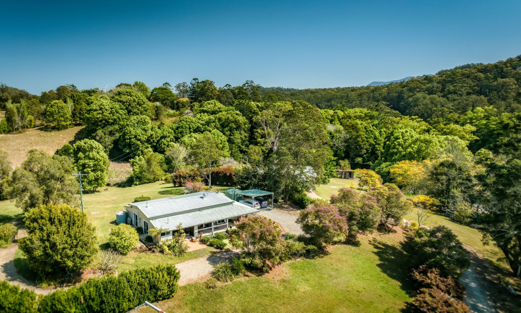 259 Kalang Road, Bellingen NSW 2454, Image 2