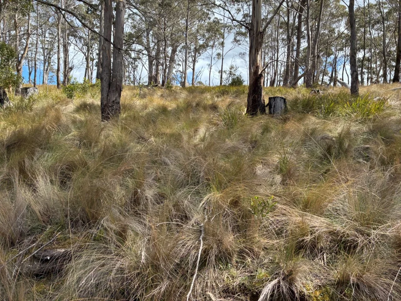 Additional image 26 of 2413 Nugent Road, Buckland TAS 7190