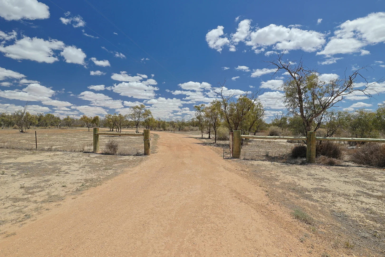Image 14