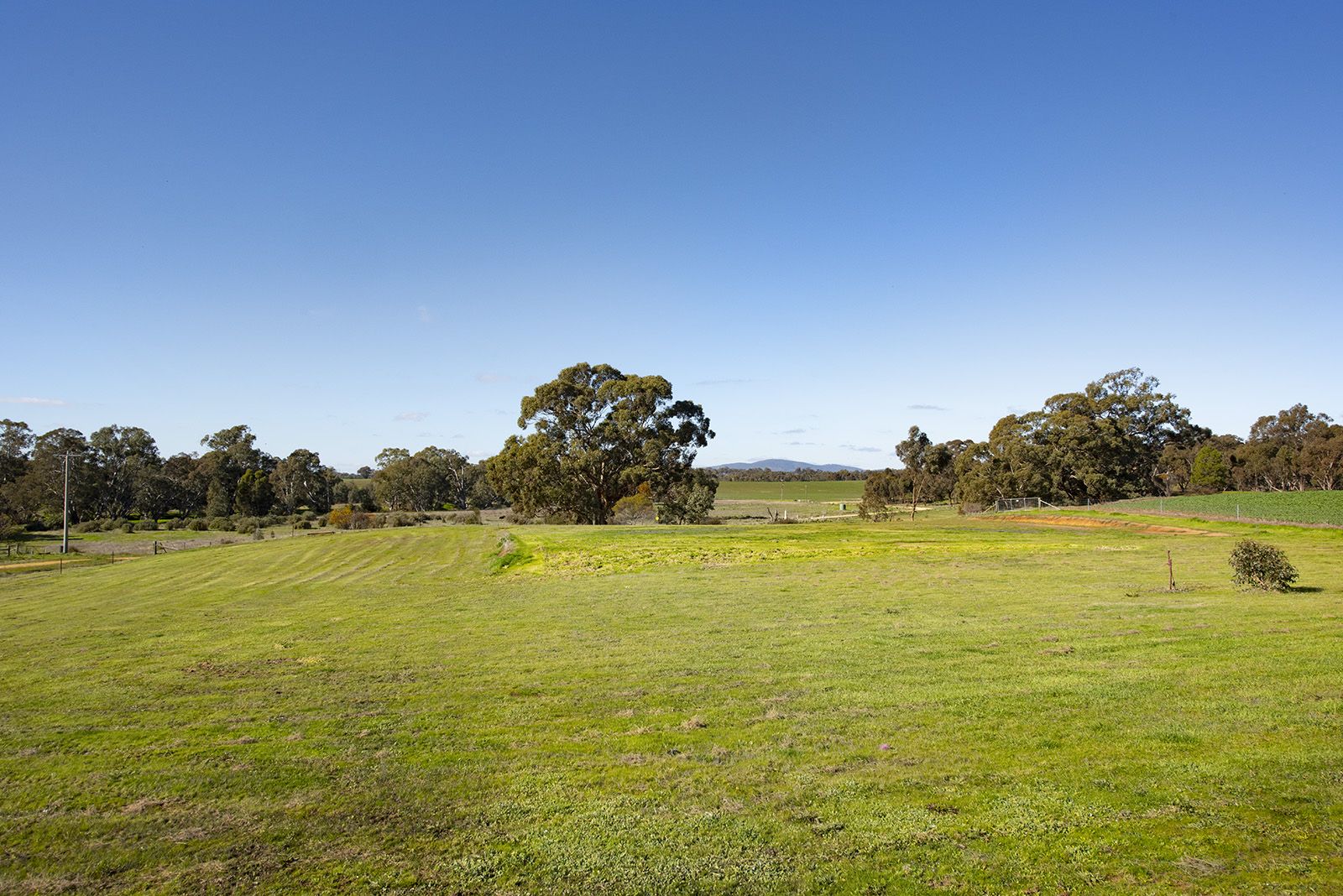 195 Pickerings Lane, Baringhup West VIC 3463, Image 2