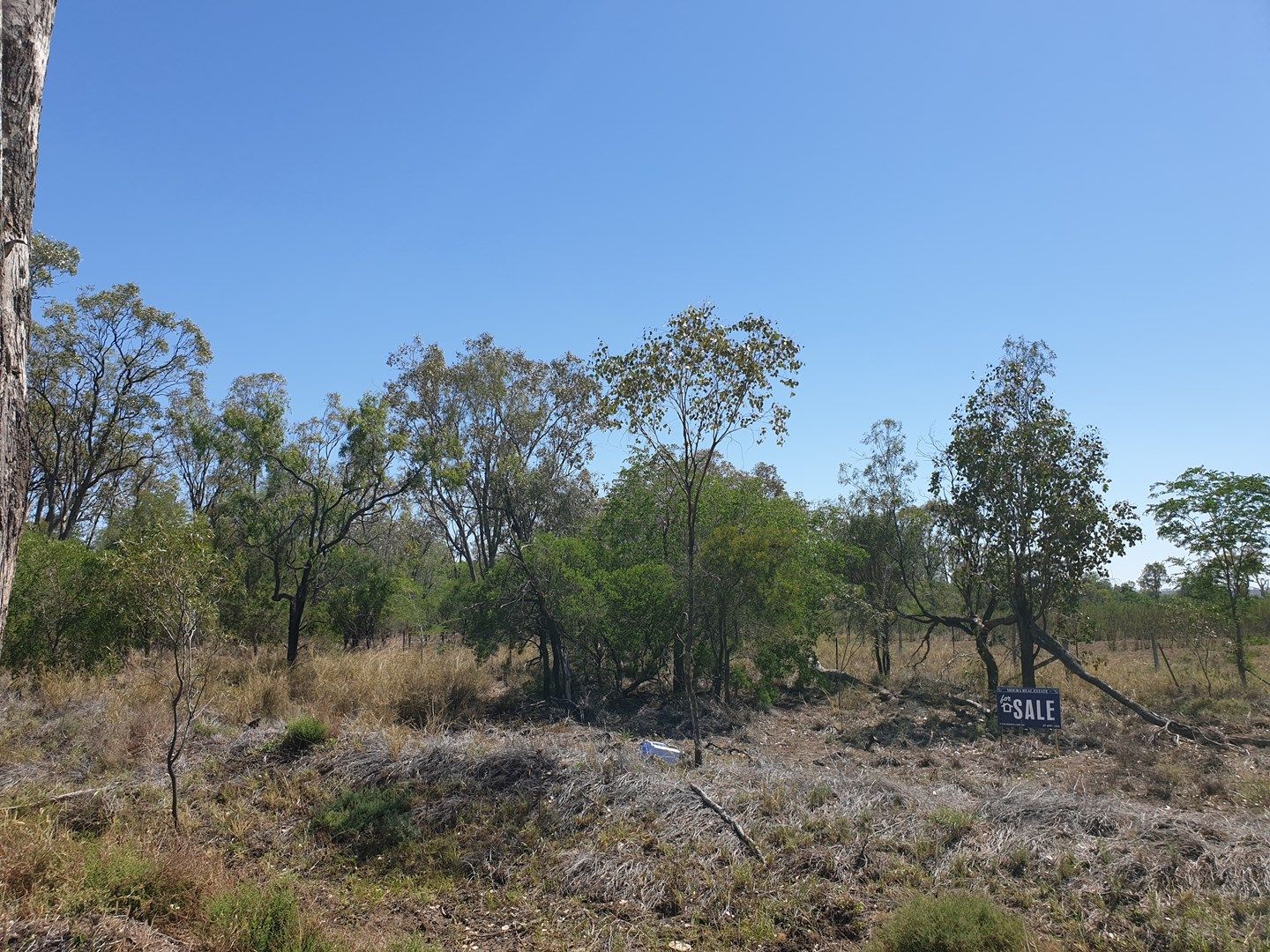 LOT 124 Barfield Rd, Banana QLD 4702, Image 0