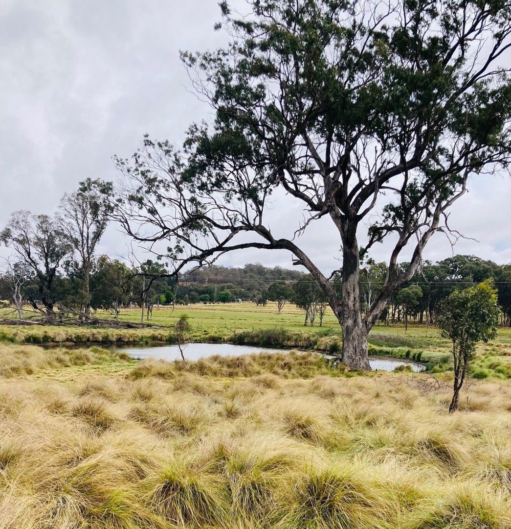 Vacant land in Lots 42 - 44 Geyers Road, TENTERFIELD NSW, 2372