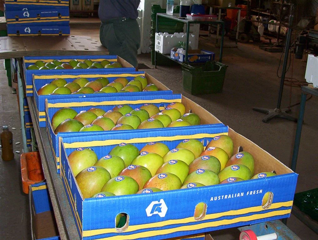 Additional image 18 of Bowen QLD 4805