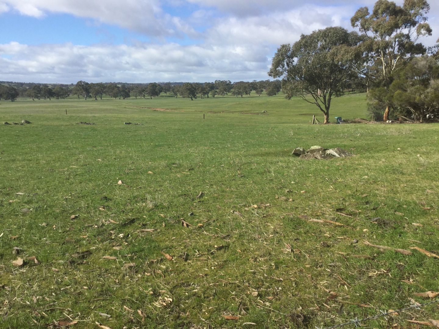 Lots: 5 Henschke Road, Keyneton SA 5353, Image 1