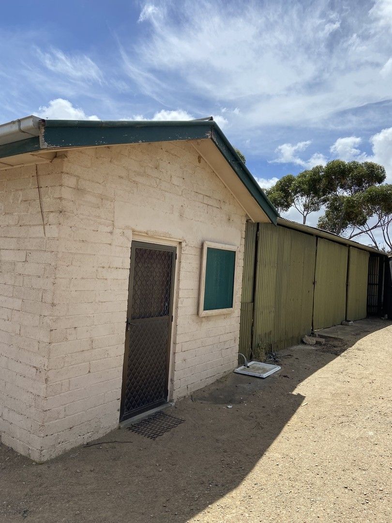 1 bedrooms Apartment / Unit / Flat in 12-14 Dorset Street MURRAY BRIDGE SA, 5253