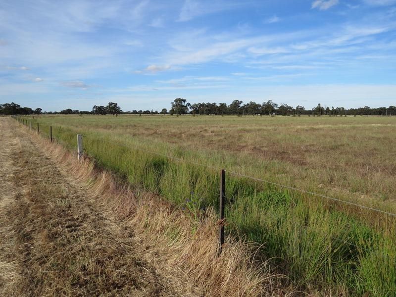 "Dandaloo" Moonee Swamp Road, Deniliquin NSW 2710, Image 0