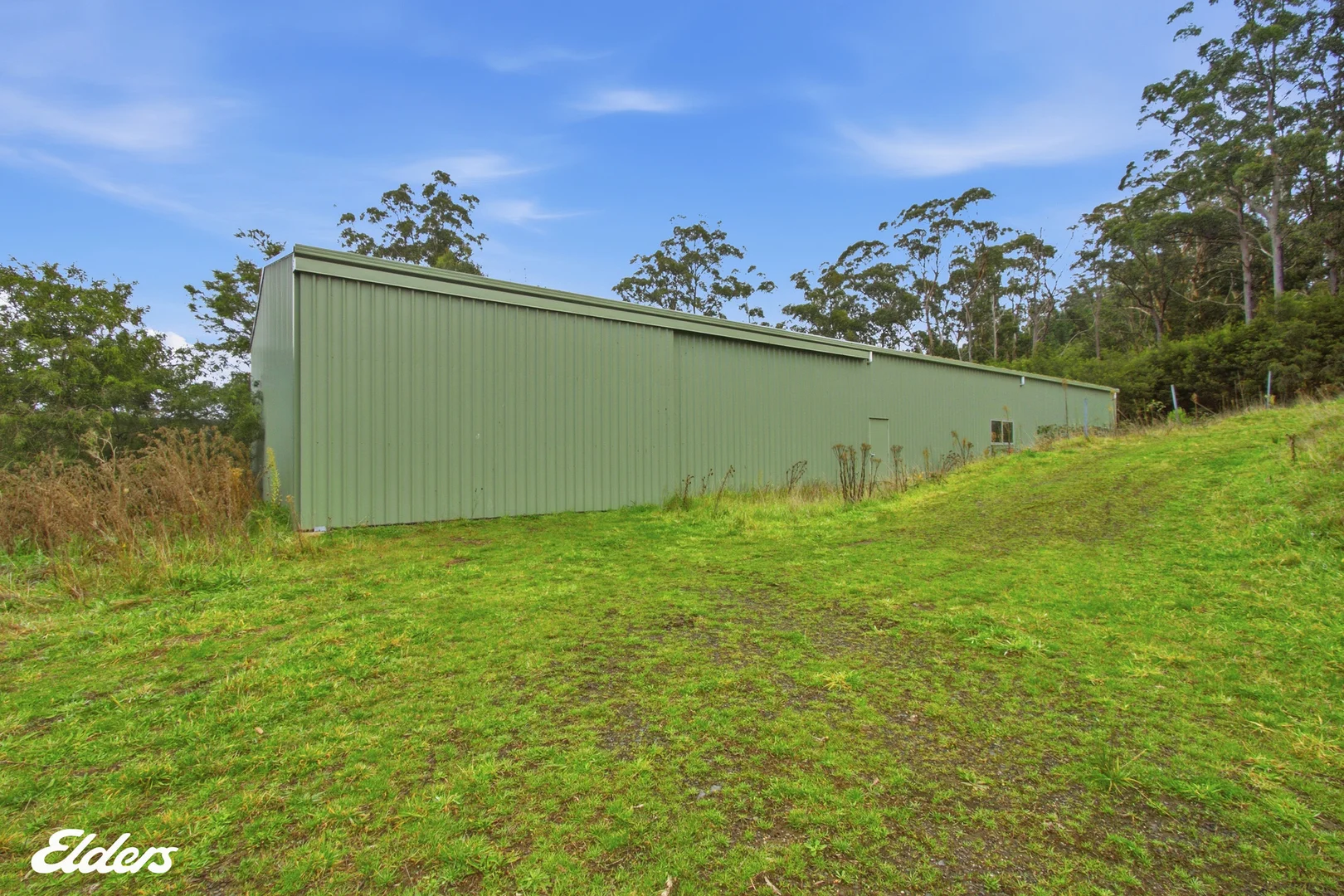 Image 25