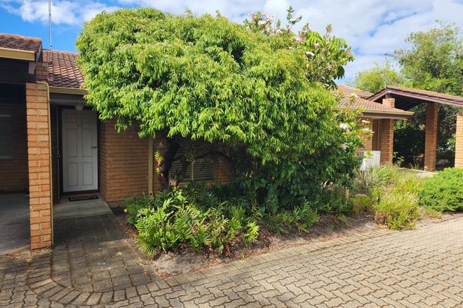 Picture of 12/3 Waterway Court, CHURCHLANDS WA 6018