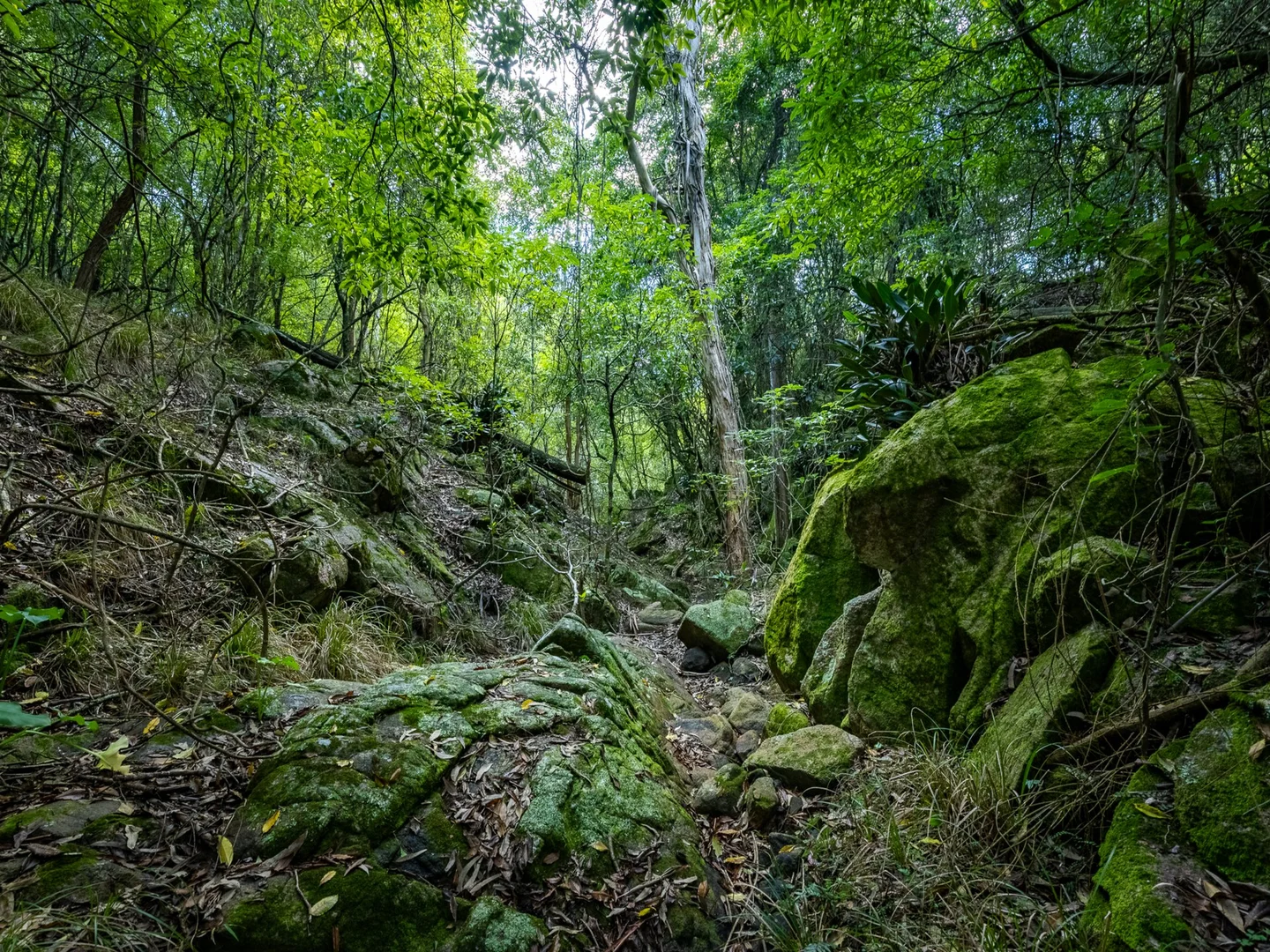 Image 10