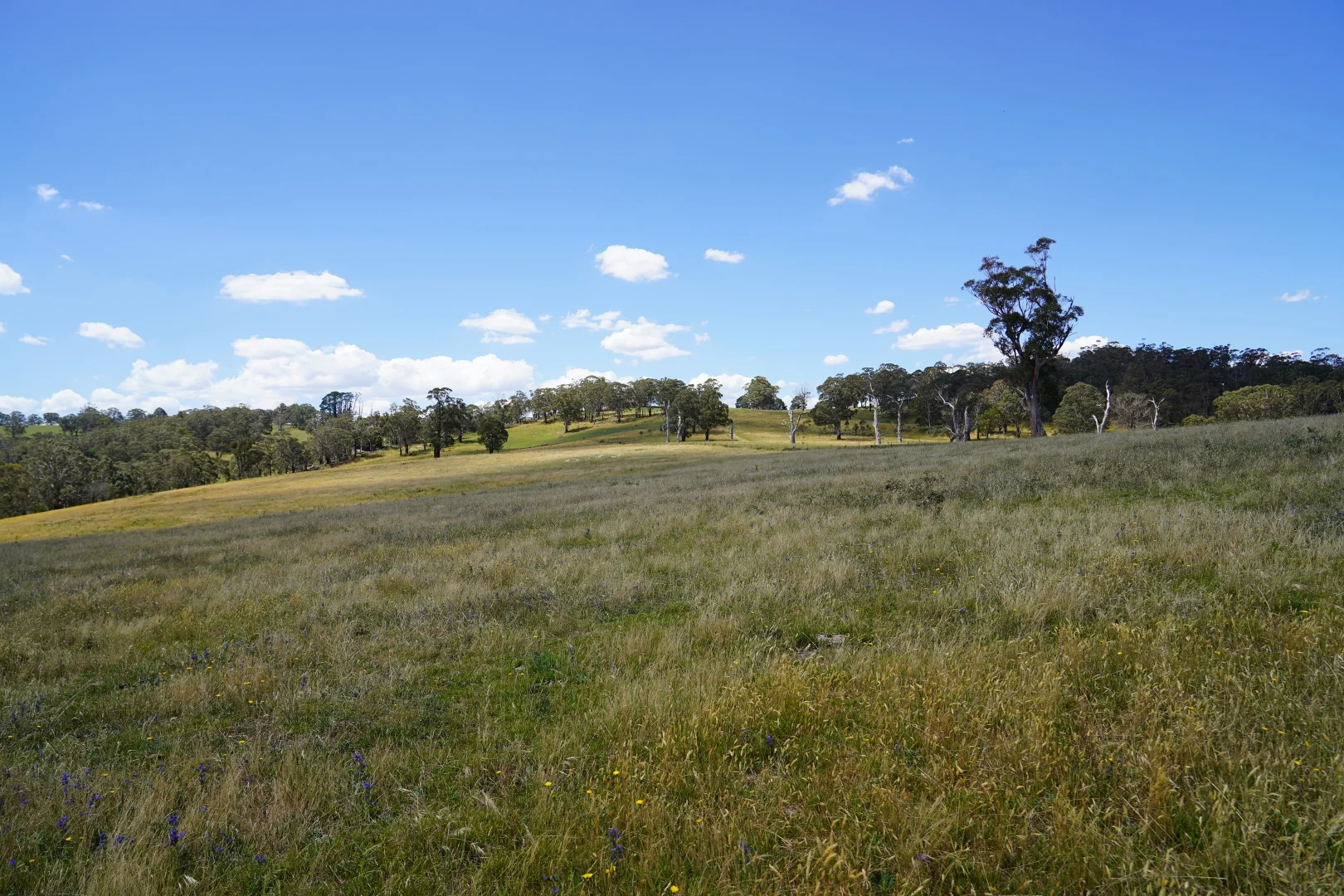 Additional image 13 of 410 Honeysuckle Falls Road, Tarana NSW 2787