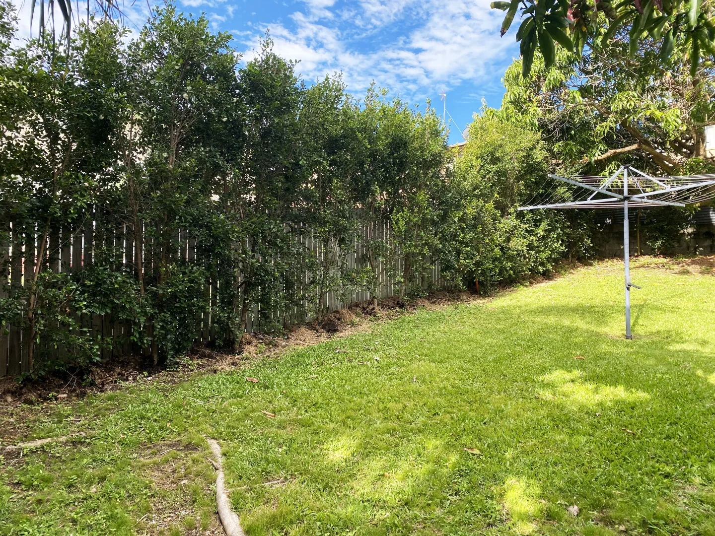 Image 14