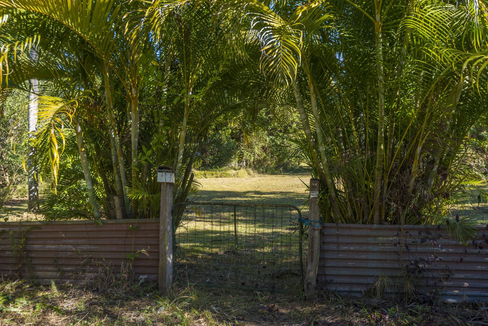 17 Dibbs Street, Coraki NSW 2471, Image 1