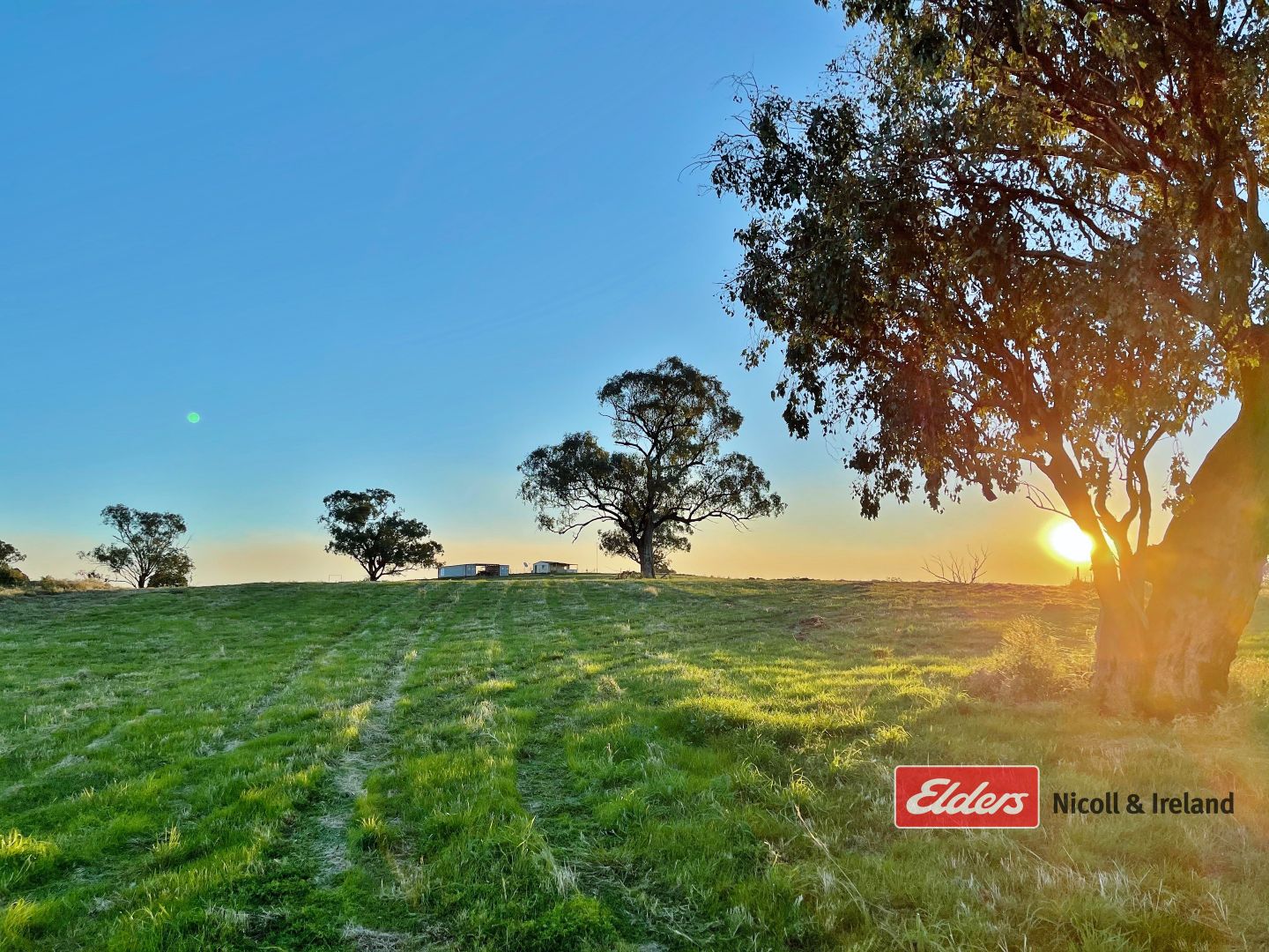 Lot 32 Pride of Oak Road, Canowindra NSW 2804, Image 2