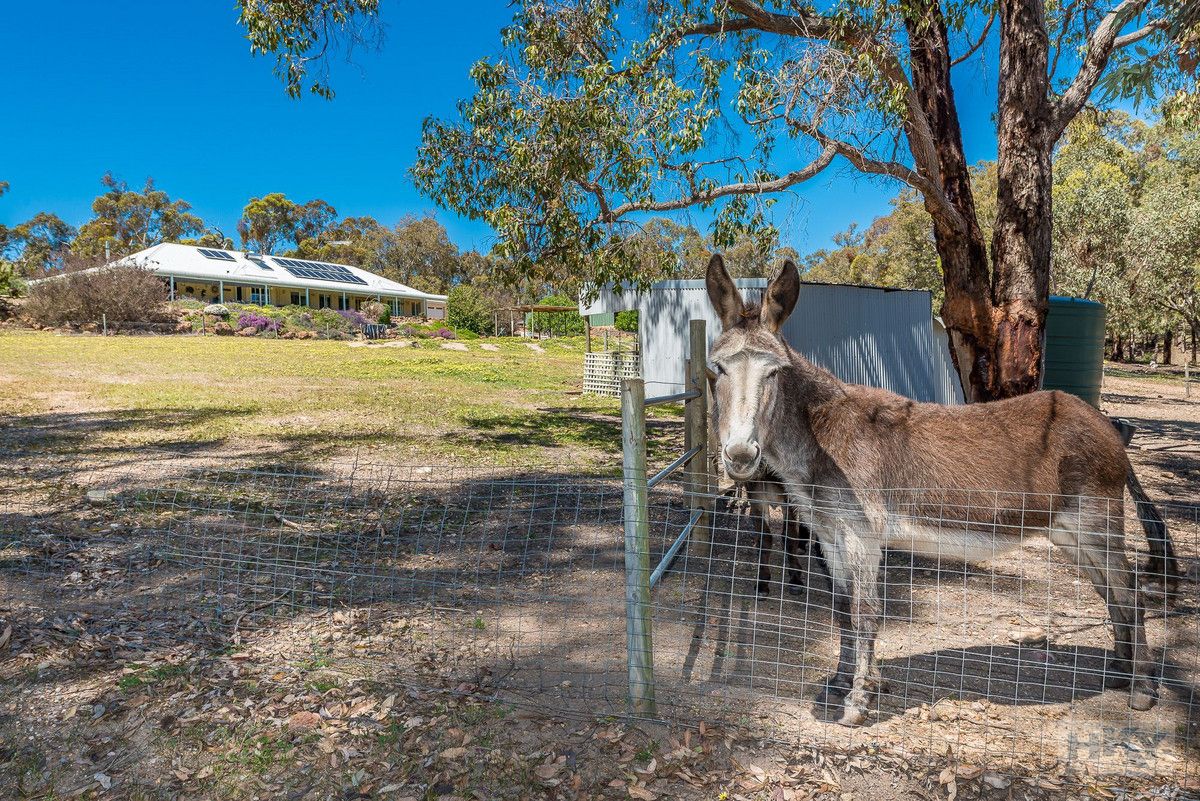 33 Alawoona Circle, Bullsbrook WA 6084, Image 2