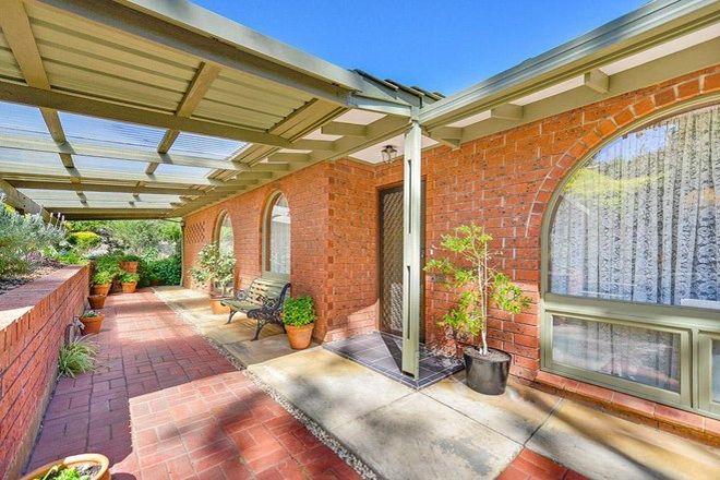 Picture of 31 Milperra Avenue, BANKSIA PARK SA 5091