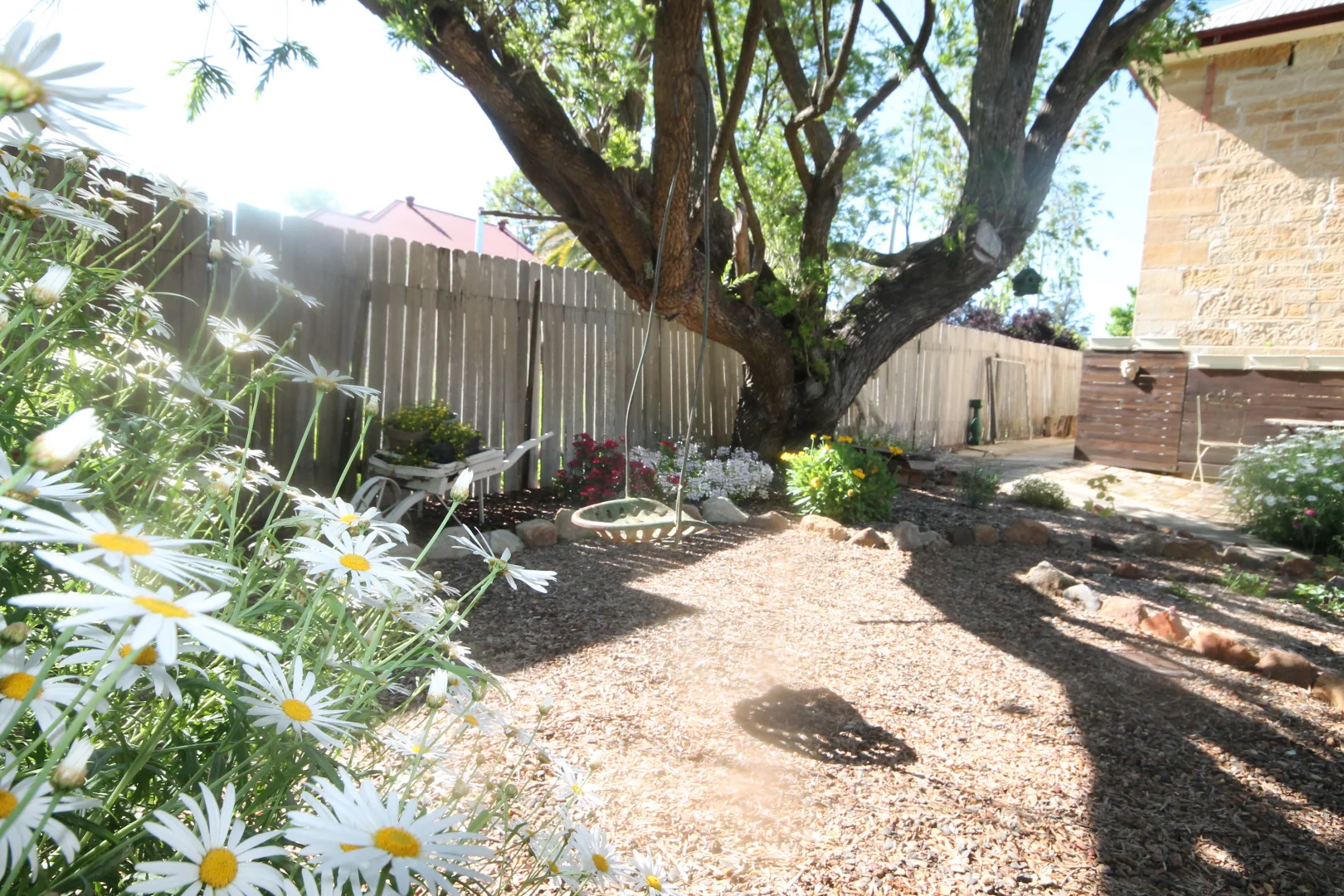Image 21