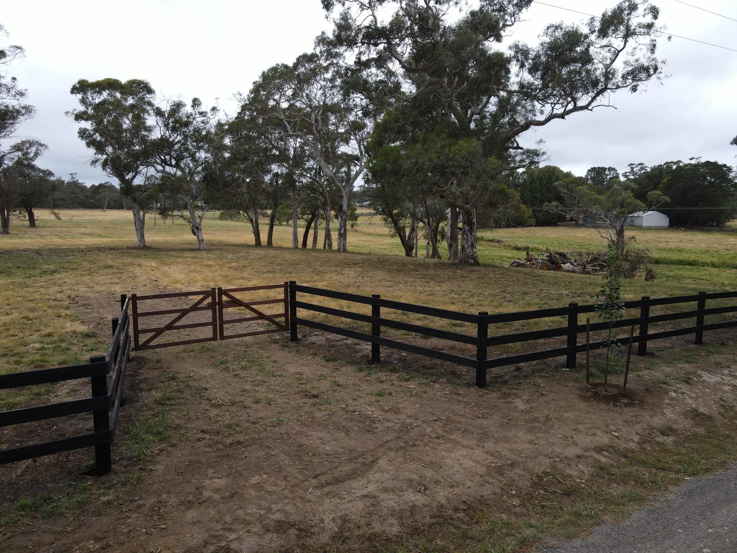 Image 8